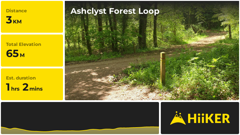 Ashclyst Forest Loop | Devon | England