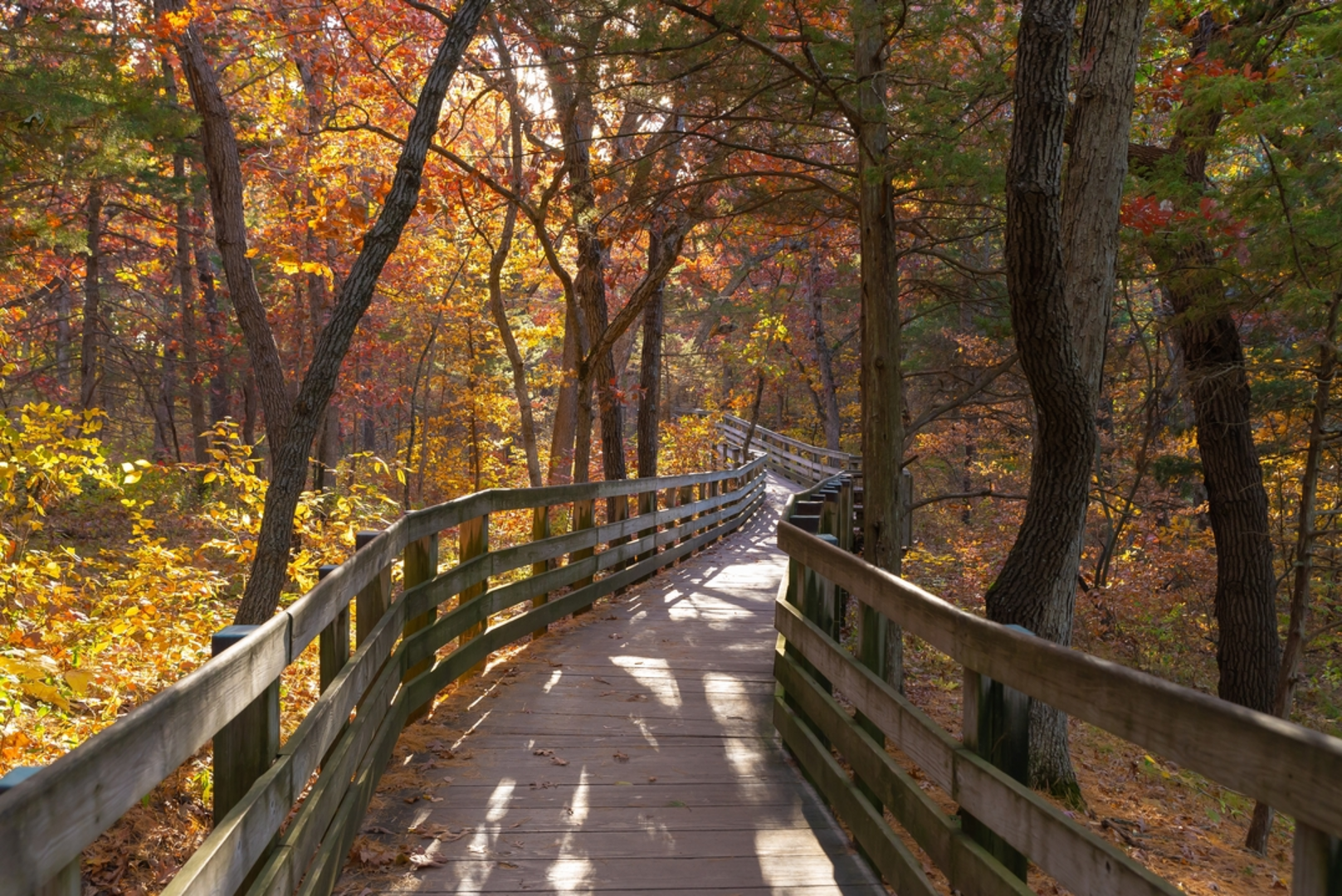 An image depicting the trail Starved Rock Loop and its surrounding area.