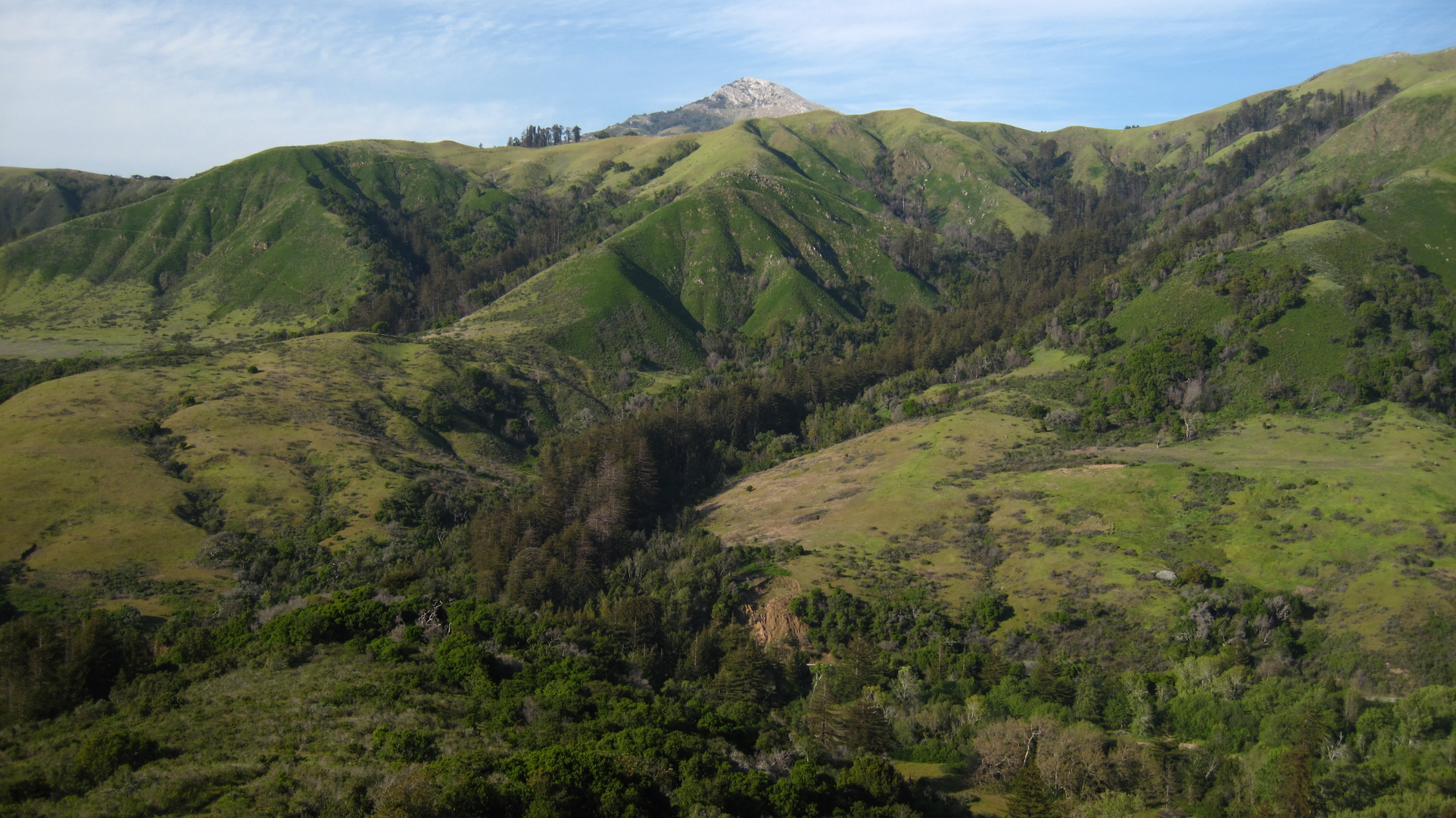 An image depicting the trail Post Summit via East Molera Trail and its surrounding area.