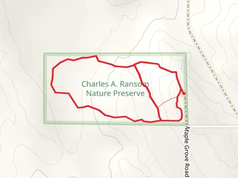 Maple Grove Loop