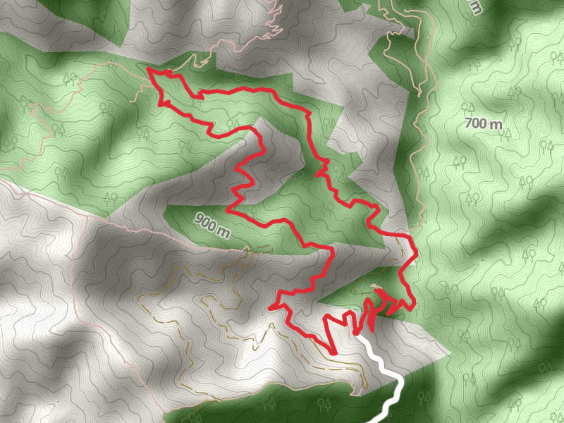 Upper and Lower Winter Creek Loop Trail