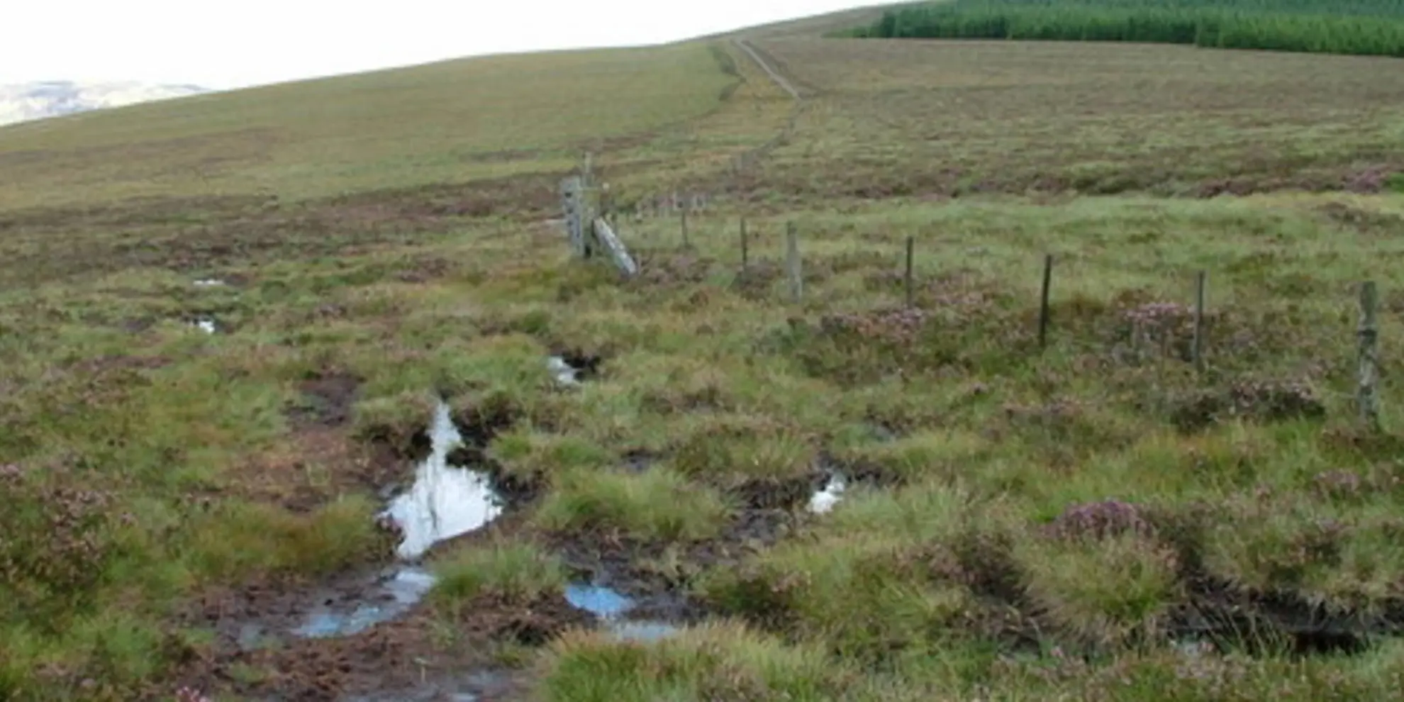 An image depicting the trail Cushat Law and Bloodybush Edge from Hartside and its surrounding area.