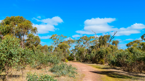 Pingle Farm Trail via Estuary