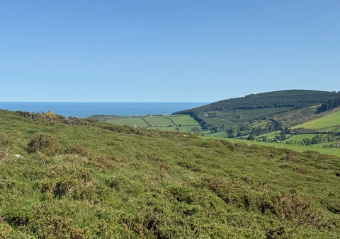 Great sugar loaf