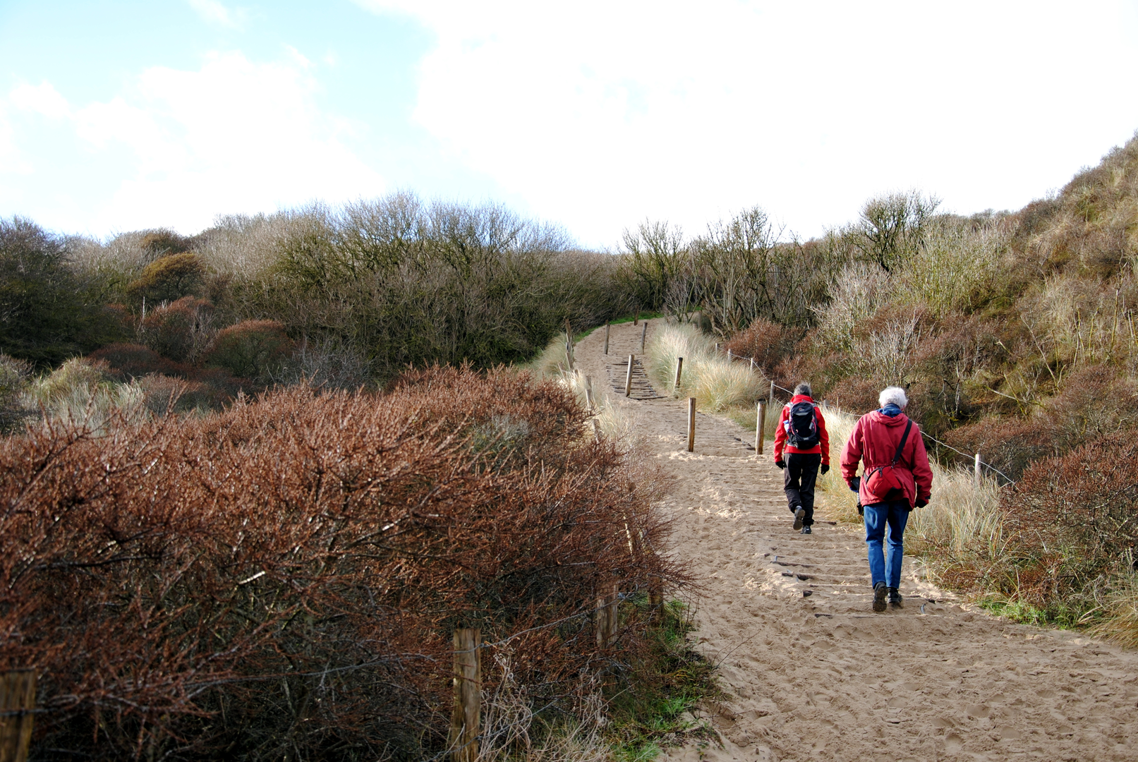 An image depicting the trail Russenbergen, Kruisberg and De Brabantse Landbouw Loop and its surrounding area.