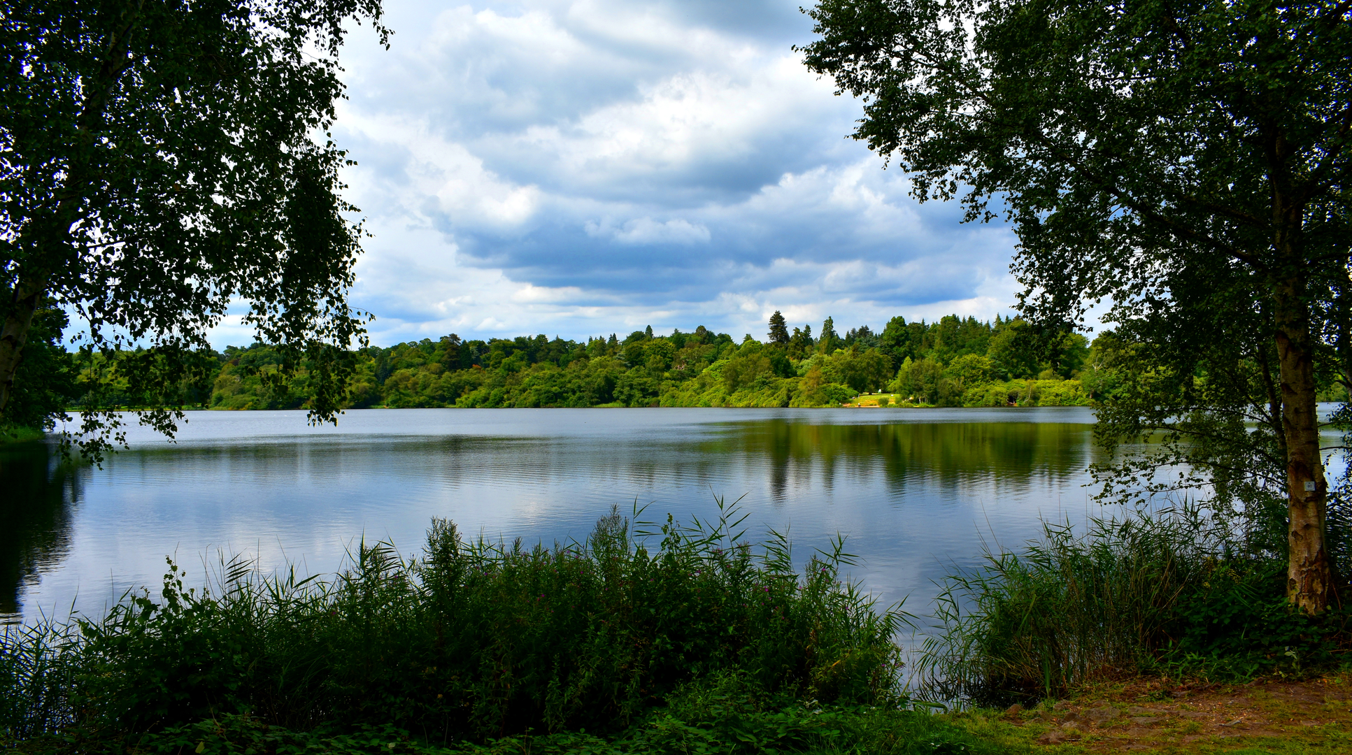 An image depicting the trail Colnbrook to Haslemere in Surrey and its surrounding area.
