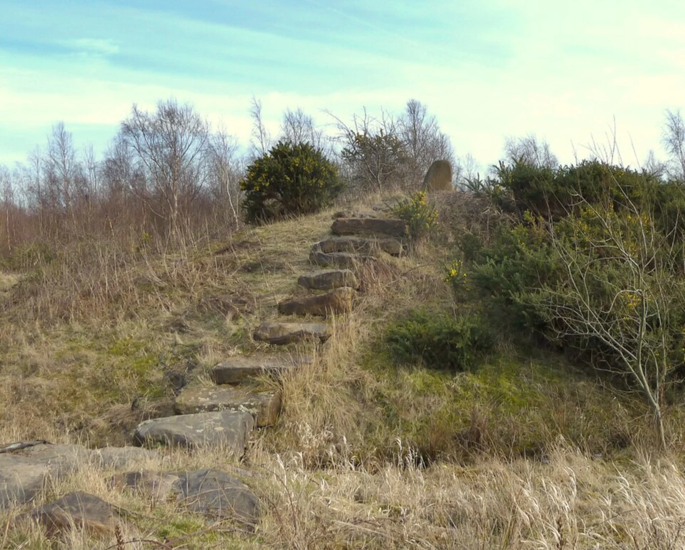 An image depicting the trail Colliers Moss Common and its surrounding area.
