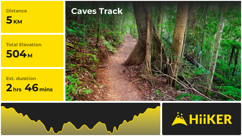 Caves Track | Scenic Rim Regional | Queensland