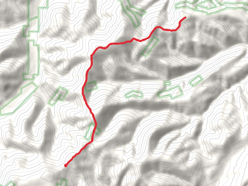 Gibson Peak Trail