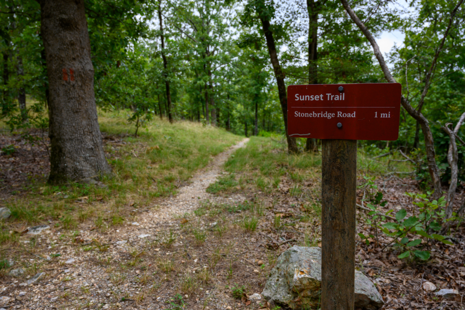 An image depicting the trail Sunset Trail and its surrounding area.