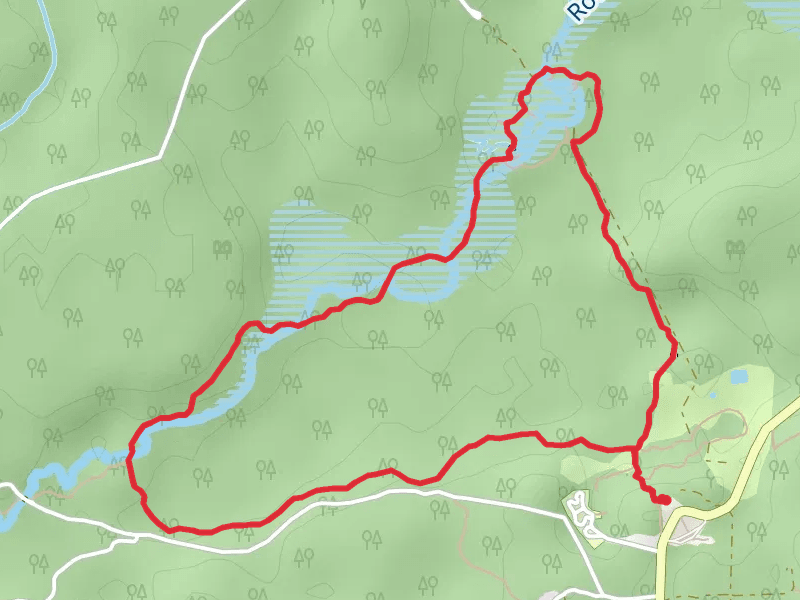 Black Swamp Walk