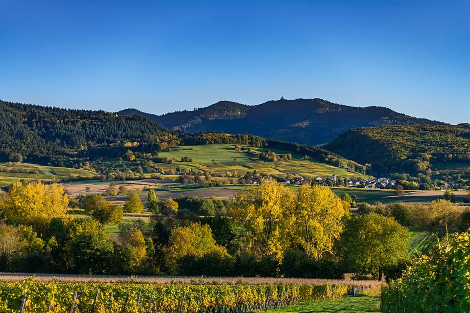 An image depicting the trail Ruine Neuenfels Loop - Britzingen and its surrounding area.