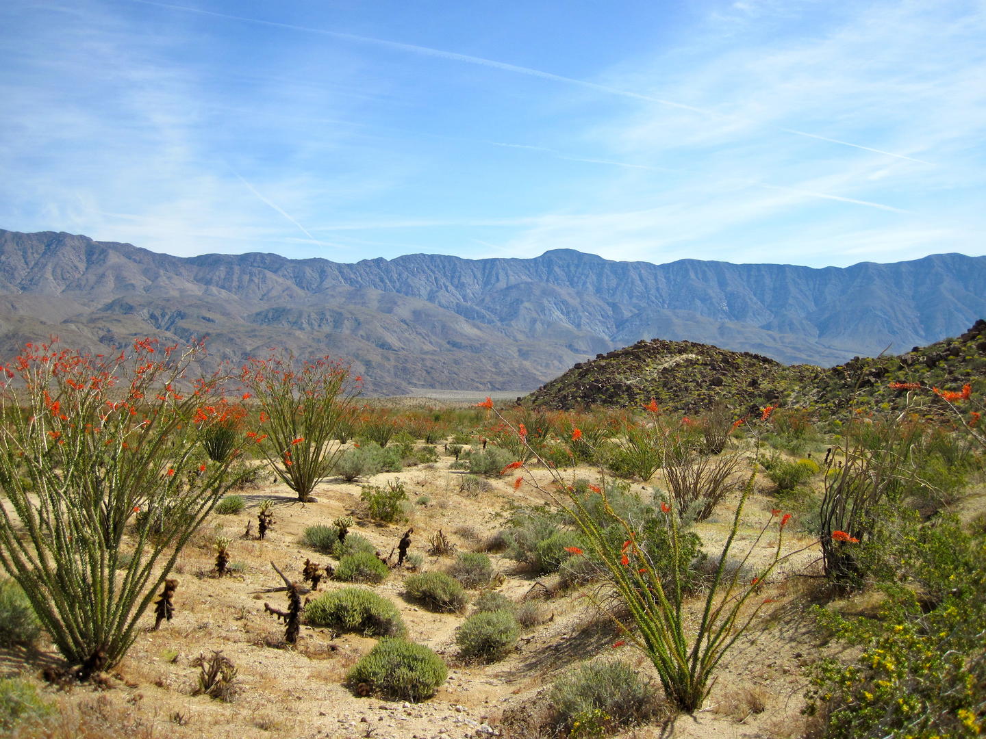 An image depicting the trail Alcoholic Pass Trail and its surrounding area.