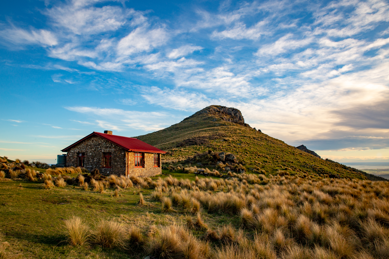 An image depicting the trail Te Ara Pātaka and its surrounding area.