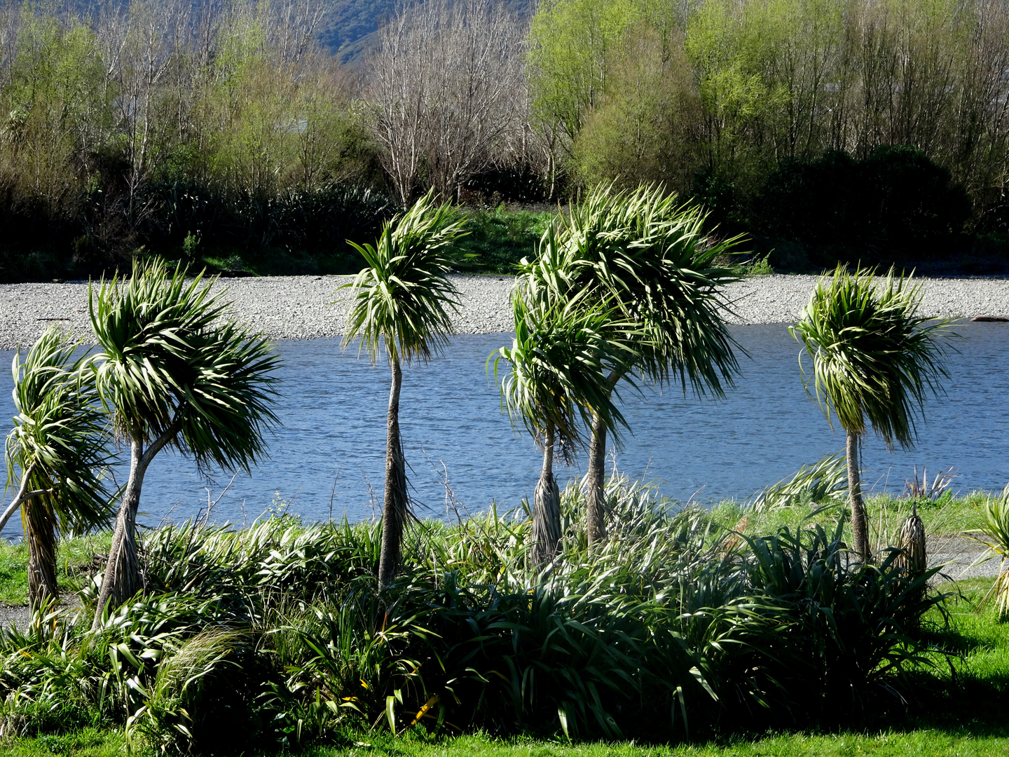 An image depicting the trail Hutt River Trail - Ewen Bridge to Petone and its surrounding area.