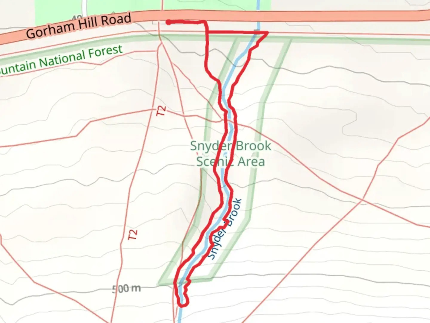 An image depicting the trail Snyder Brook Loop and its surrounding area.