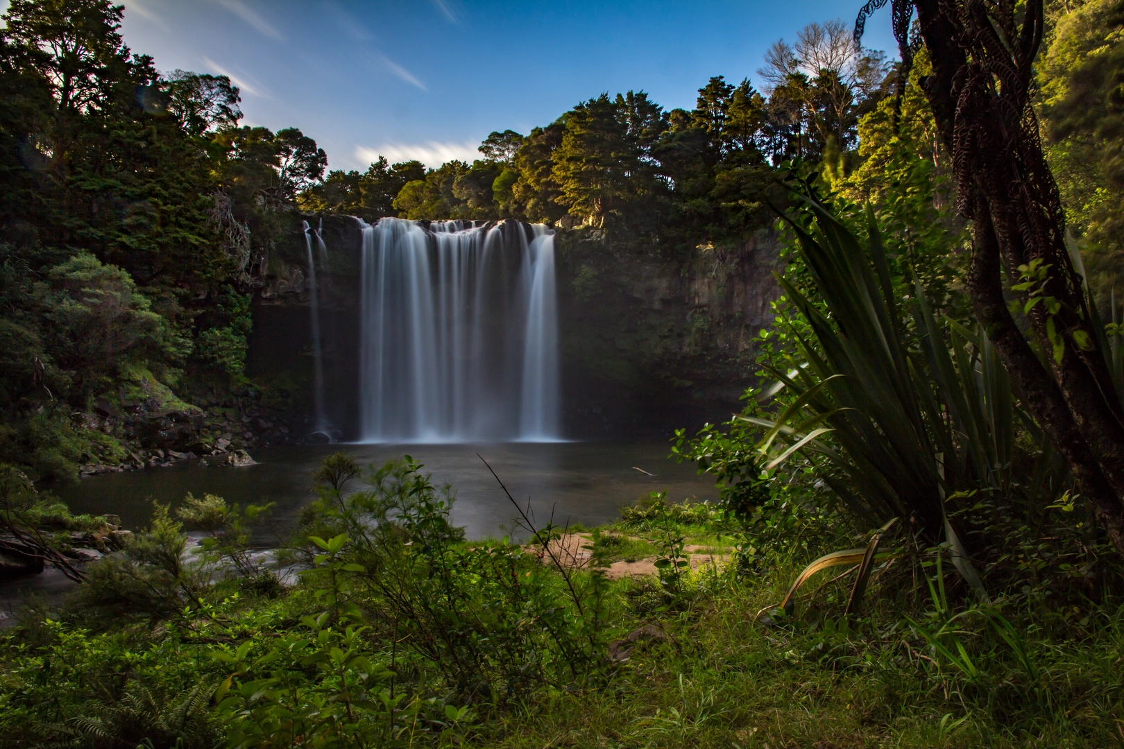 An image depicting the trail Kerikeri River Track and its surrounding area.