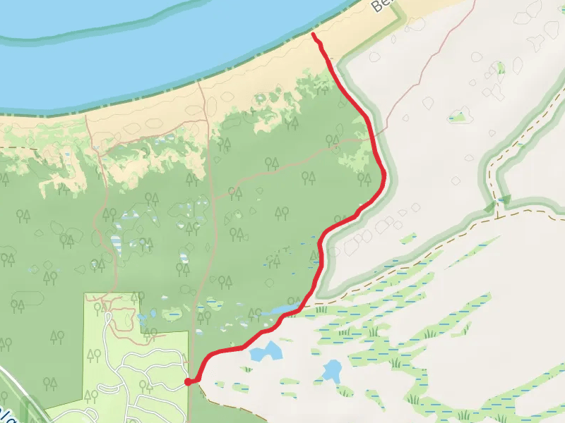 Peterson Beach Sleeping Bear Recreation Area Walk