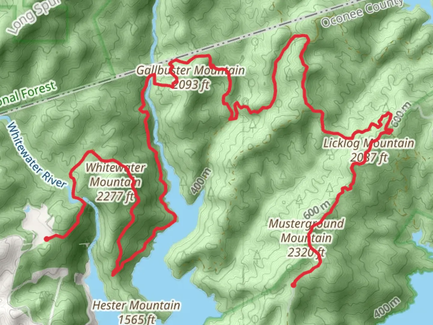 An image depicting the trail Gallbuster Mountain, Licklog Mountain and Musterground Mountain Walk and its surrounding area.