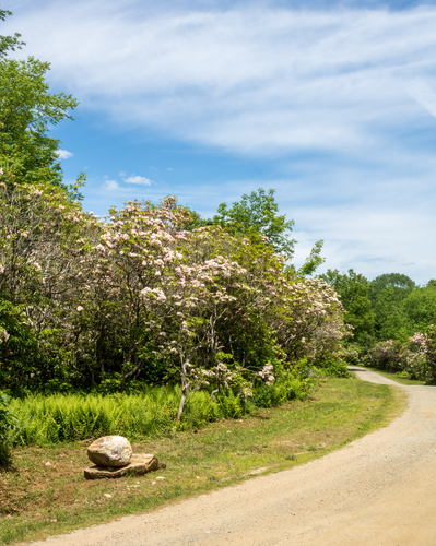 Nipmuck Trail