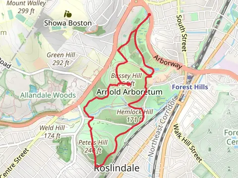 Bussey Hill, Hemlock Hill and Peter's Hill Loop via Conifer Path