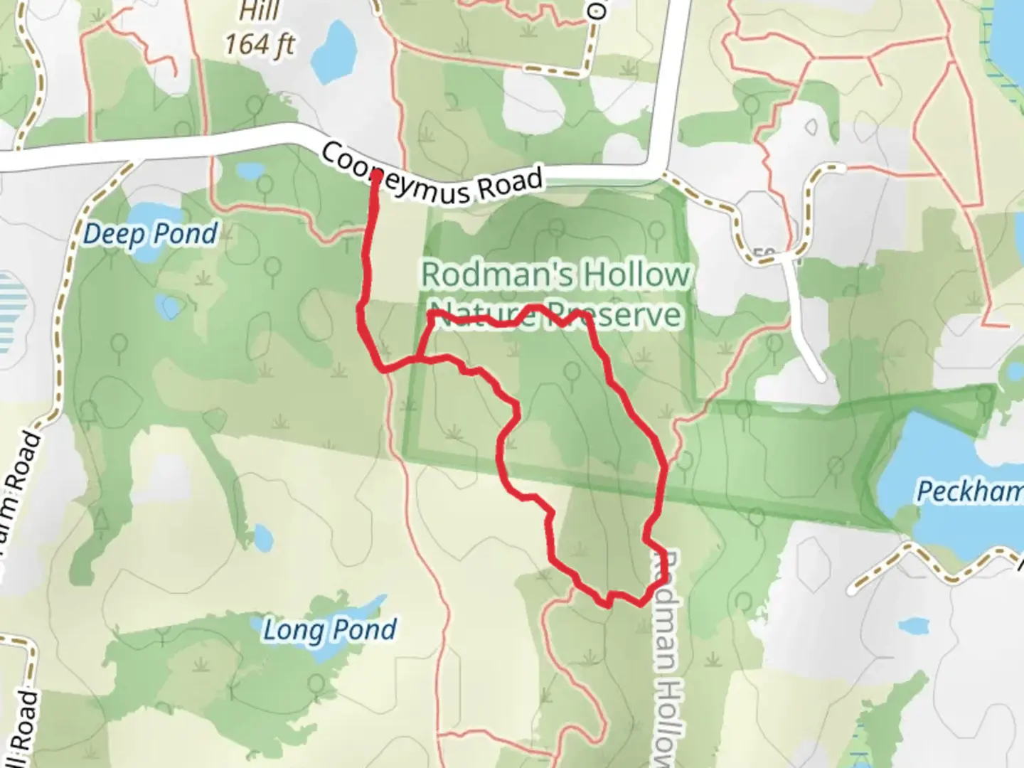 An image depicting the trail Rodman Hollow Loop and its surrounding area.