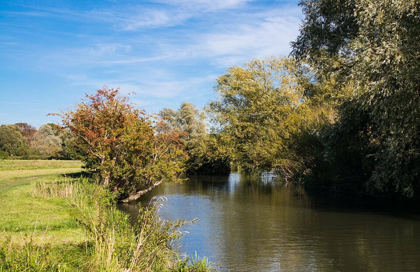 An image depicting the trail Grantchester Loop and its surrounding area.