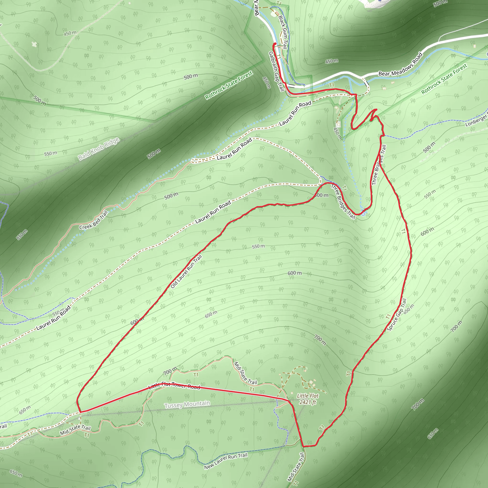 Little Flat via Thickhead Mountain Loop Trail mobile static map