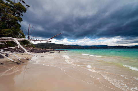 South Coast Track