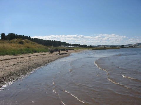 Tentsmuir Point