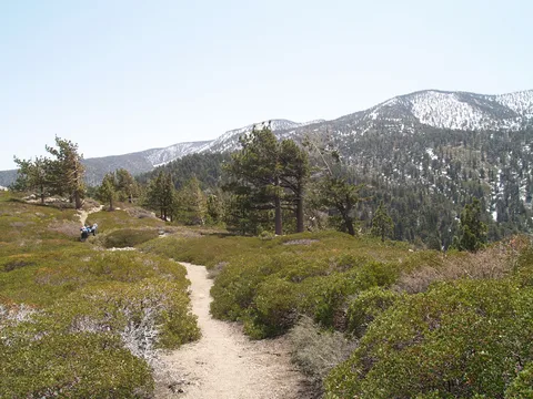 San Bernardino Peak via Momyer Creek Trail