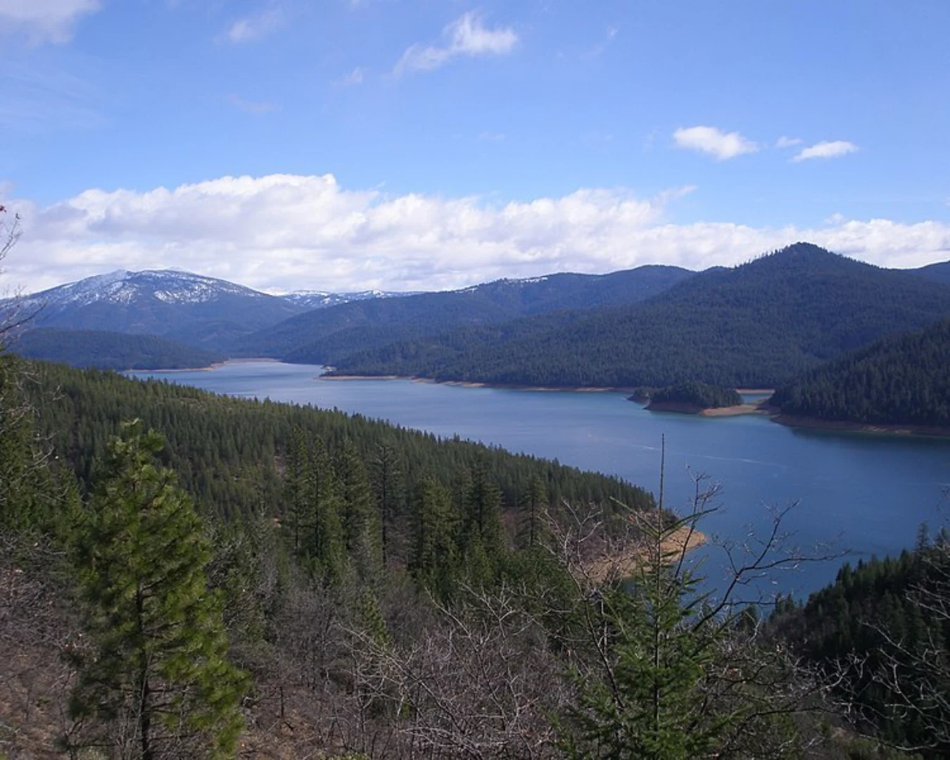 An image depicting the trail Trinity Lakeshore Trail and its surrounding area.