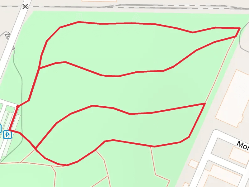 Montague Park Loop