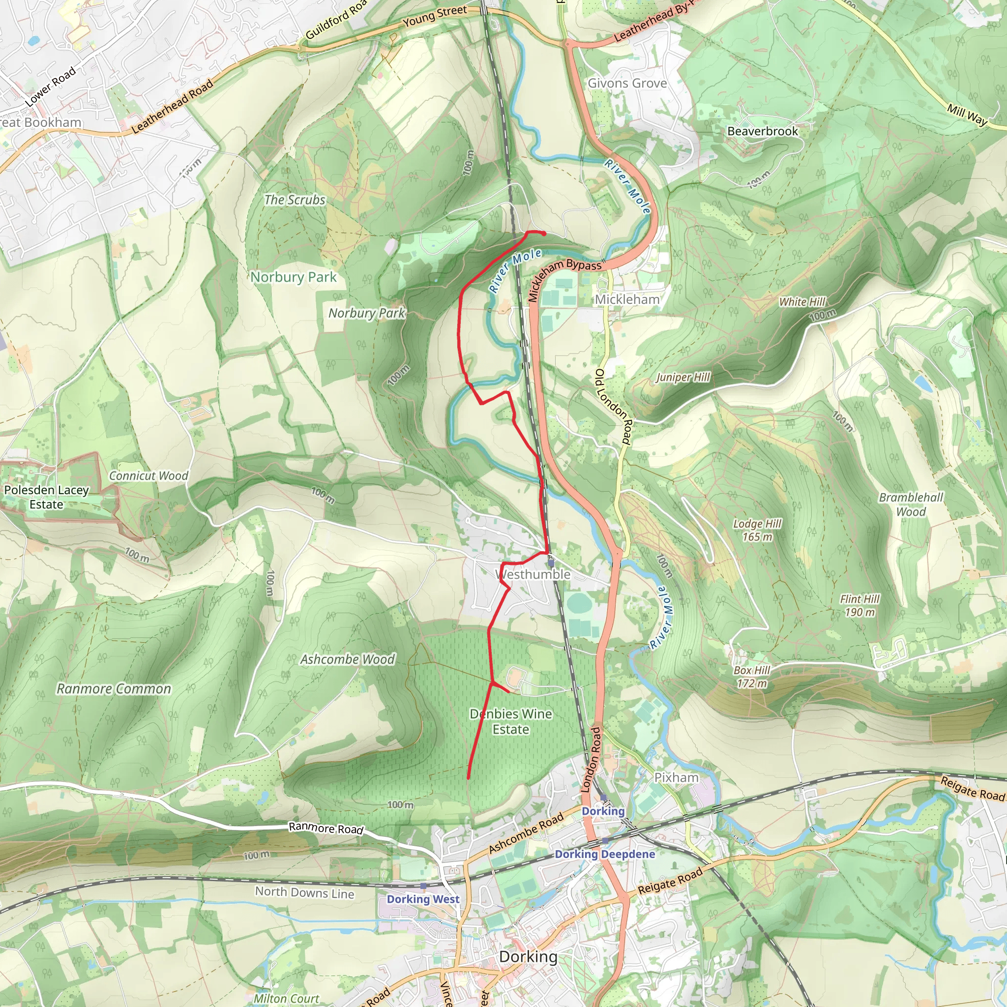 Norbury Park and Denbies Vineyard via Mole Gap Trail mobile static map