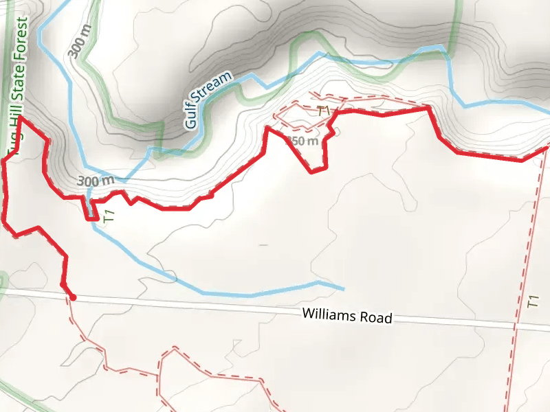 Oak Rim Trail from Williams Road