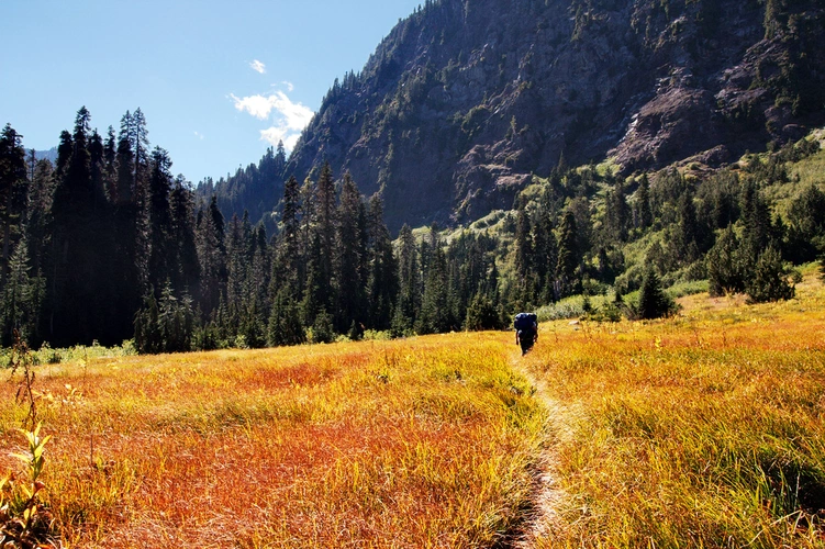 West Fork Dosewallips River via Dosewallips Road Trail