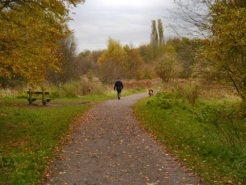 Highfield Country Park Loop