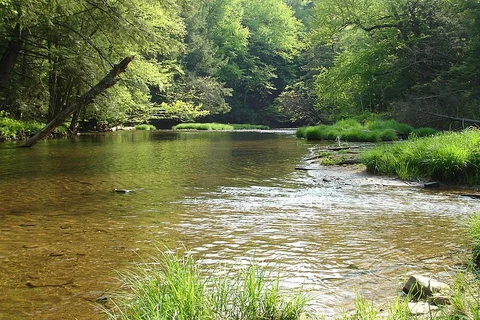 Kinzua Valley Trail