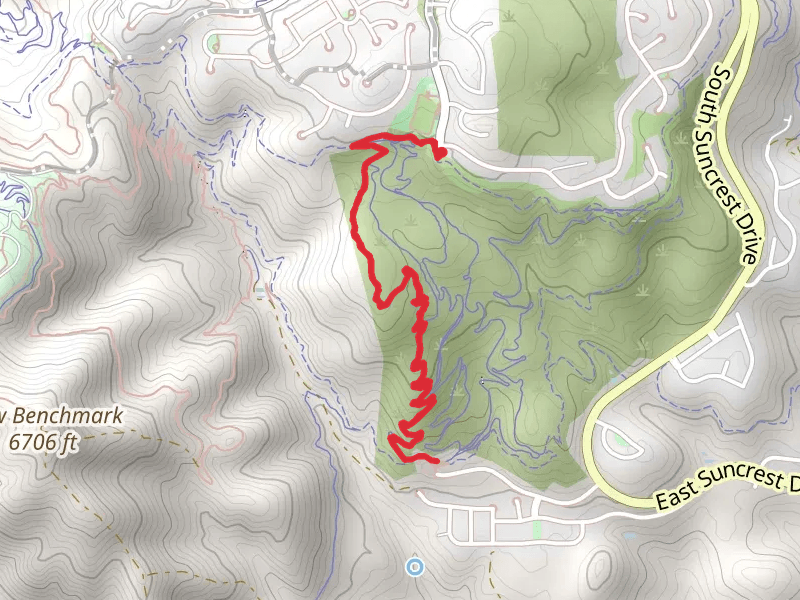 Eagle Crest and Zooropa Trail DH