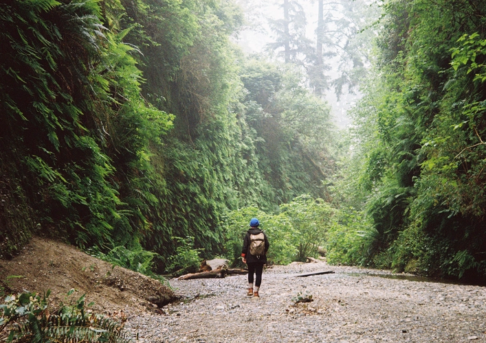 Moorman Pond Trail