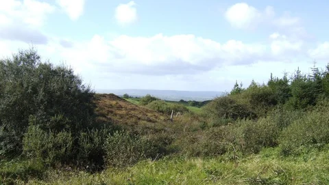 Ballinruan Loops - Gortnamearacaun Loop