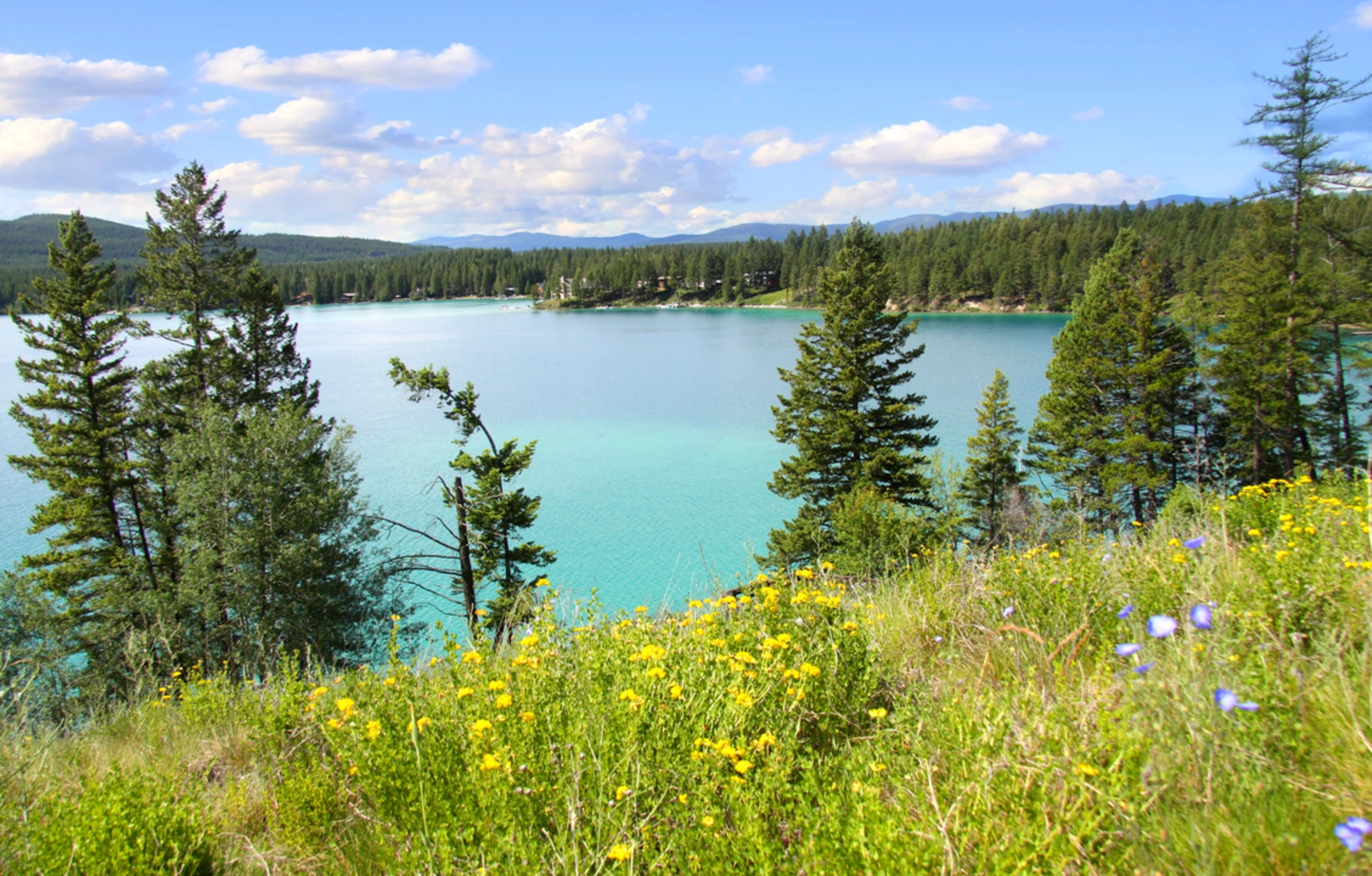 An image depicting the trail Rattlebone Lake Trail and its surrounding area.