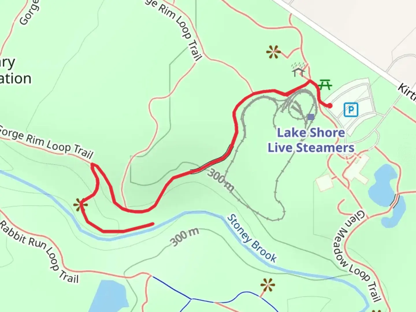 An image depicting the trail Stoney Brook Falls Steps and its surrounding area.