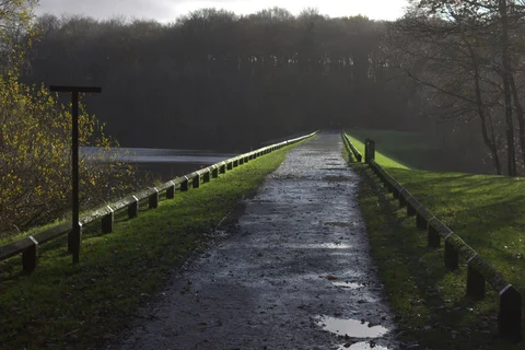 Roddlesworth Reservoir Loop