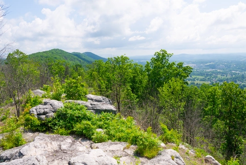 Cumberland Trail - New River Segment