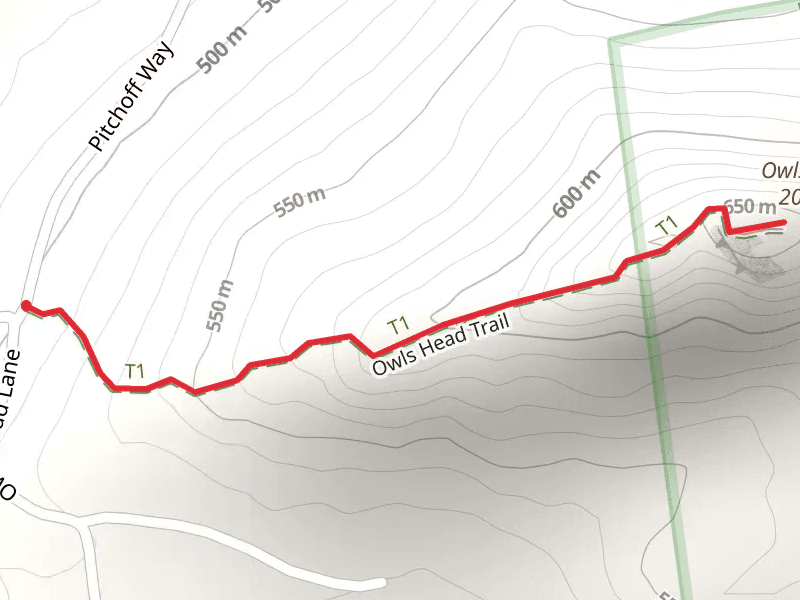Owls Head Trail