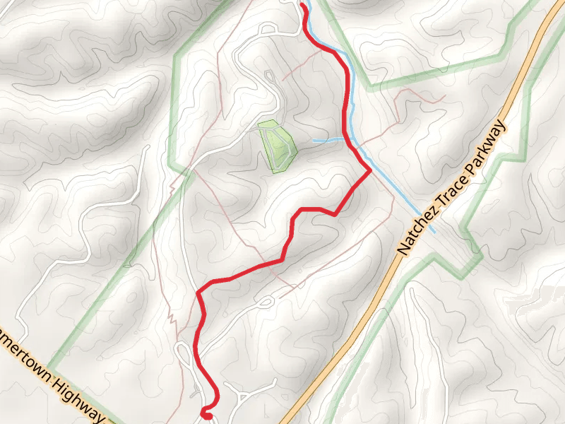 Little Swan Creek Walk