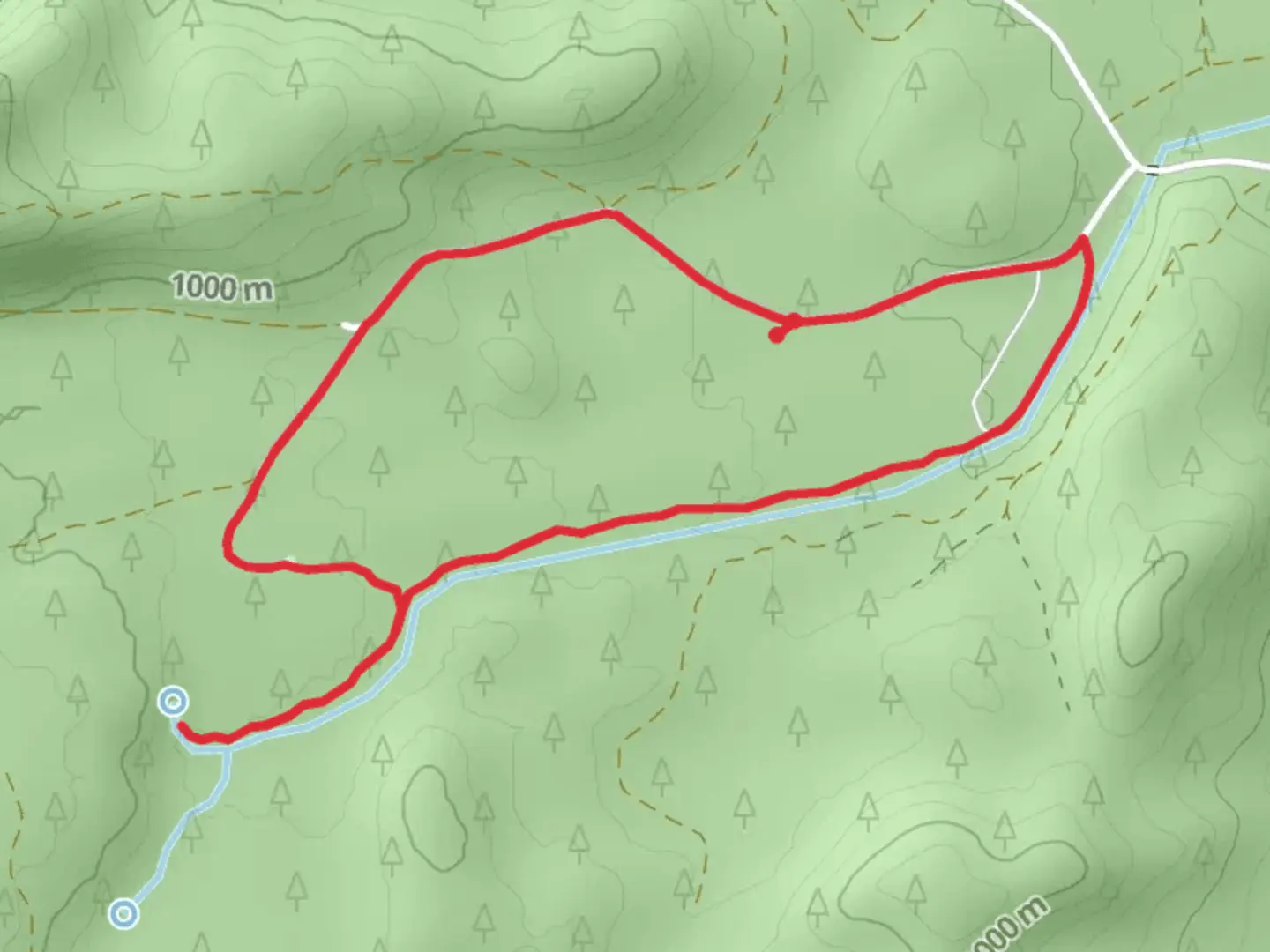 An image depicting the trail Jack Creek Campground Loop and its surrounding area.