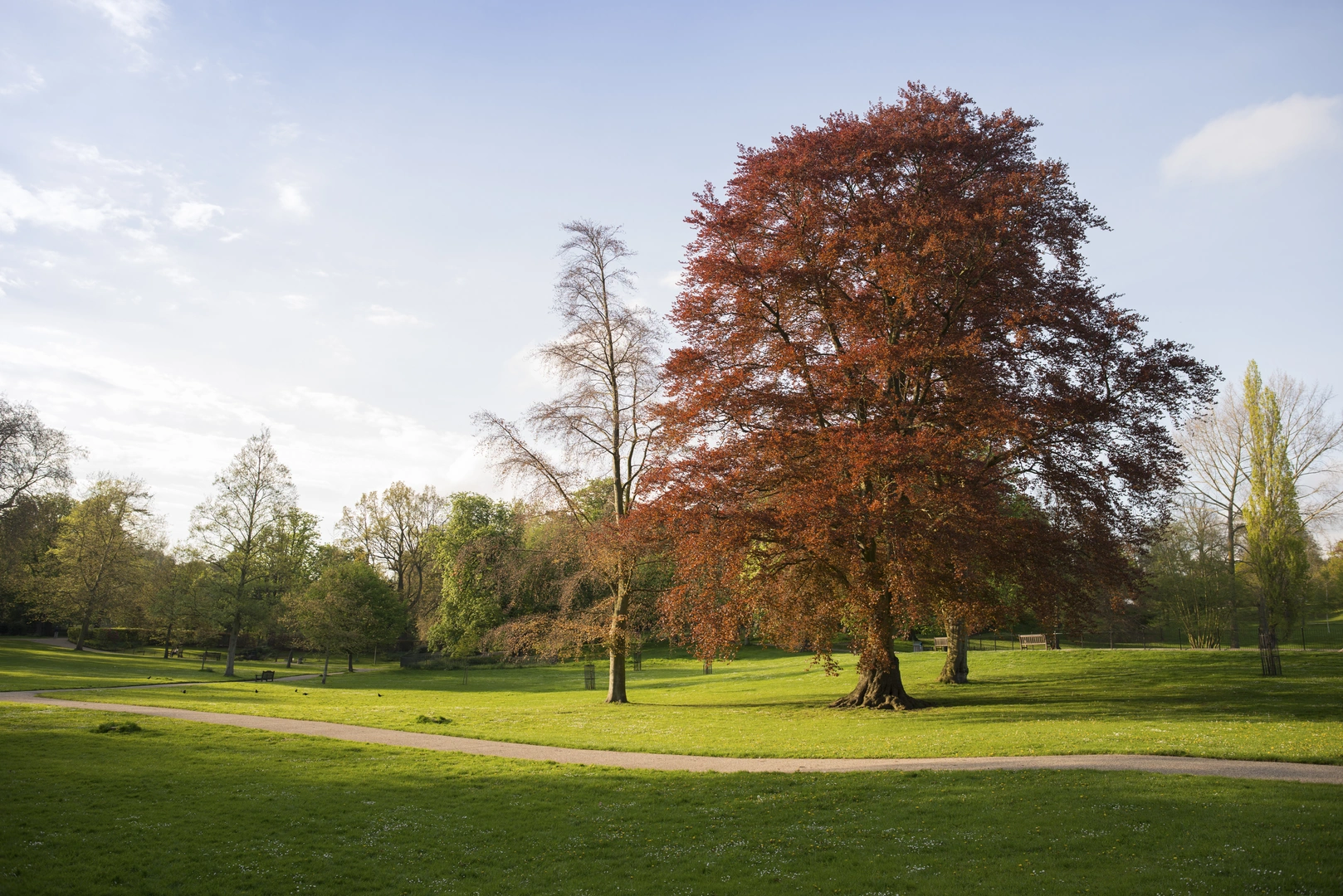 An image depicting the trail Ipswich to Ilford Walk and its surrounding area.