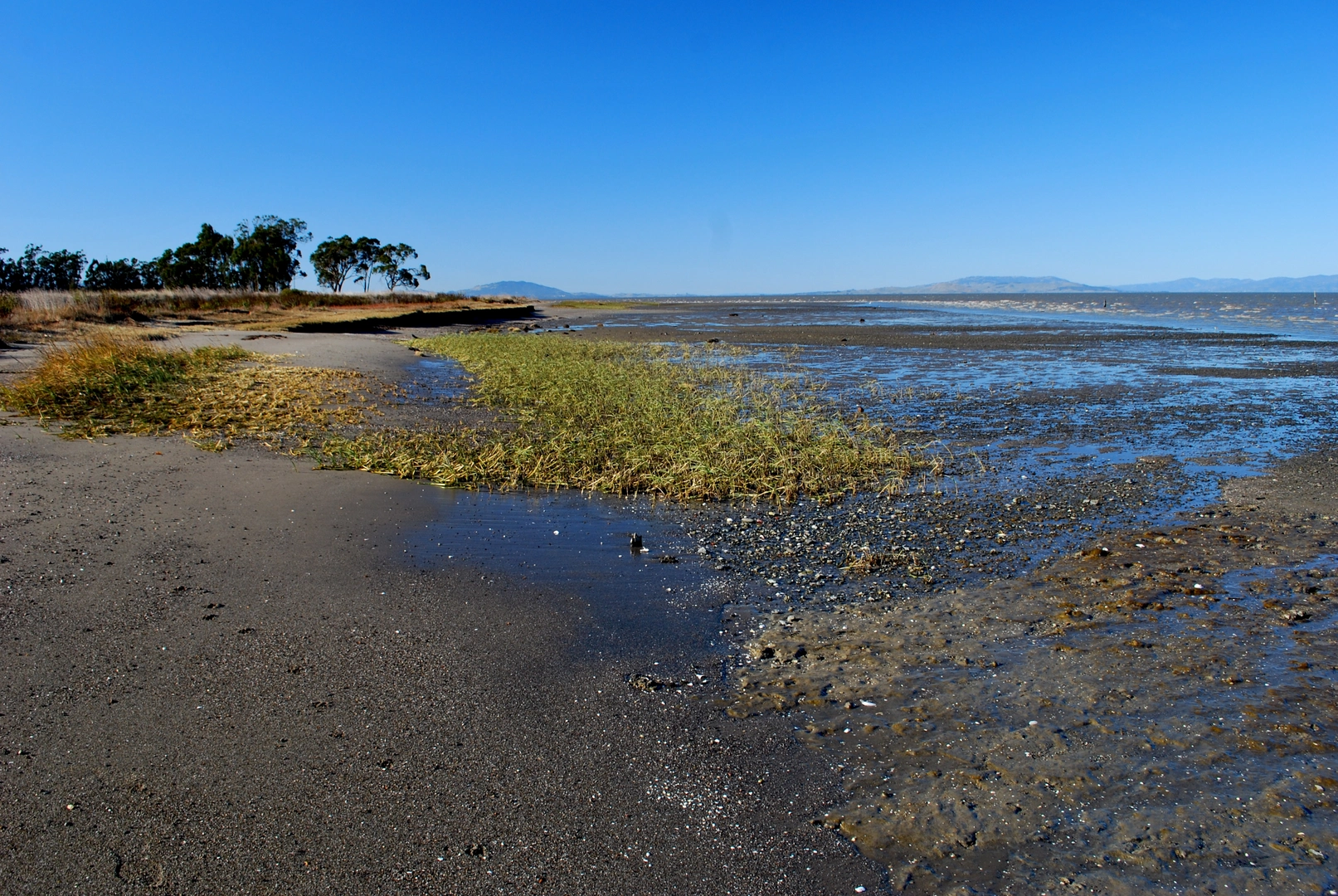 An image depicting the trail San Francisco Walk - Beach Side and its surrounding area.